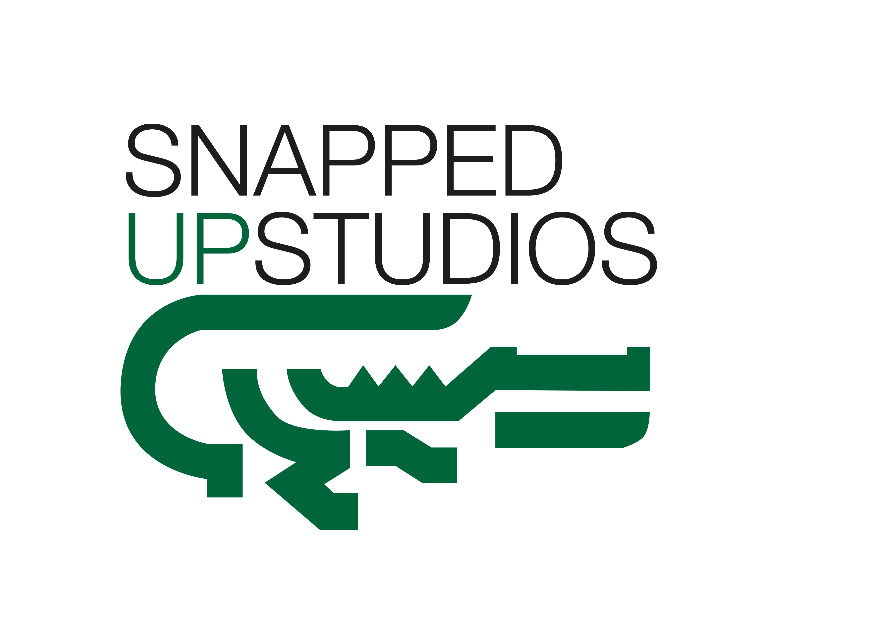 Snapped Up Studios